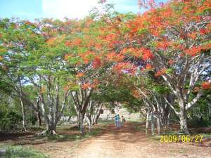 Beautiful scenery near Tekax!