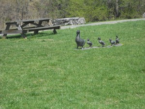 This is the duck pond in Narrows.  My kids used to visit to feed the ducks.