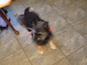 Spoiled stinking rotten!