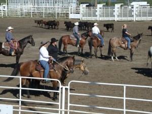 Warm up time in the ring