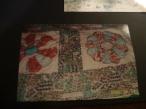 I like this Dresden Plate pattern.