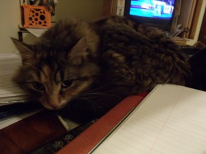 Poppy is usually not so peaceful!