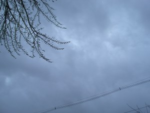 GEDSC DIGITAL CAMERA