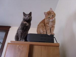 GEDSC DIGITAL CAMERA