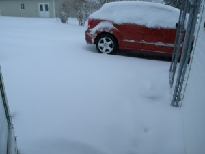 This is later in the afternoon.