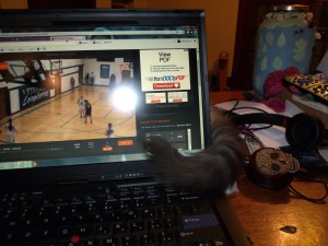 I can't work under these conditions!