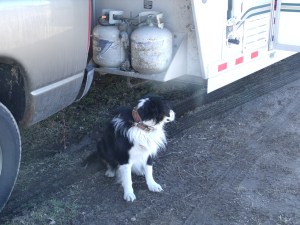 Subway was not happy.