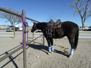 GEDSC DIGITAL CAMERA