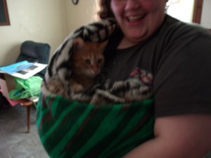 What self-respecting cat would sit still for this?