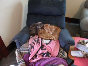 These girls found a place to snuggle.