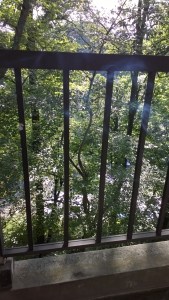 Balcony view....I spent time out there with coffee and a smoke.