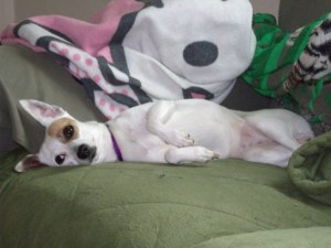 She looks innocent, doesn't she?