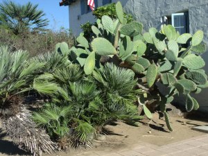 GEDSC DIGITAL CAMERA