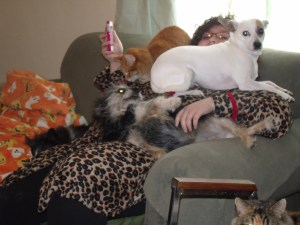 Bela's there with 3 dogs...and here comes the cat!