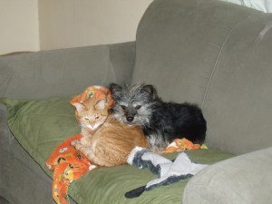 Let the snuggling begin!