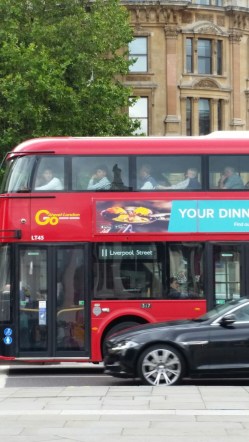 20160711_133003_resized