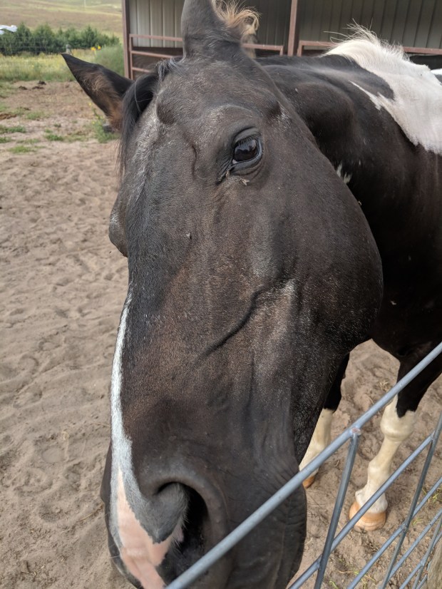 mvimg_20180826_081249